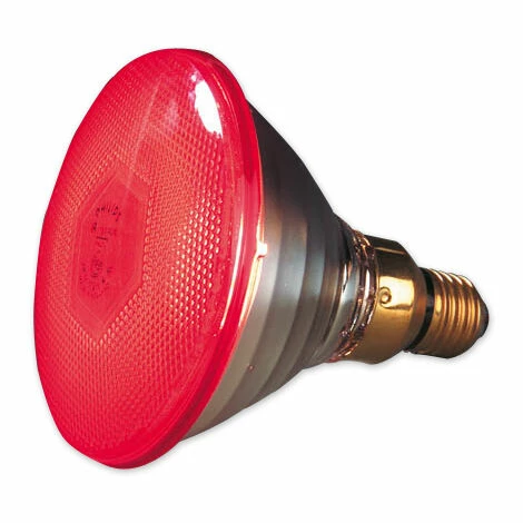 Philips Infrarot Sparlampe 100 W - Für Wärmestrahlgeräte