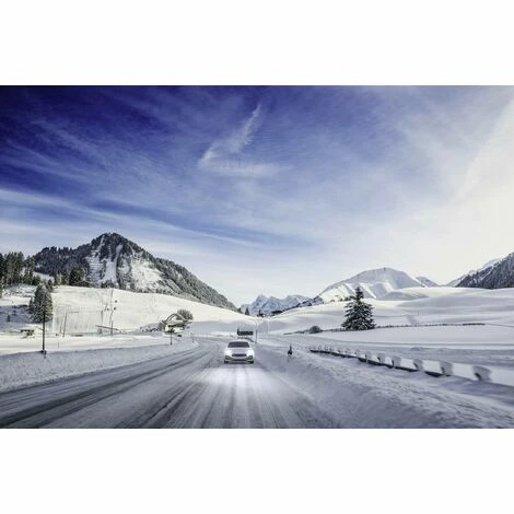 Philips 12342WVUSM Halogen Leuchtmittel WhiteVision, WhiteVision Xenon-Effekt H4 60/55 W 12 V – Bild 3