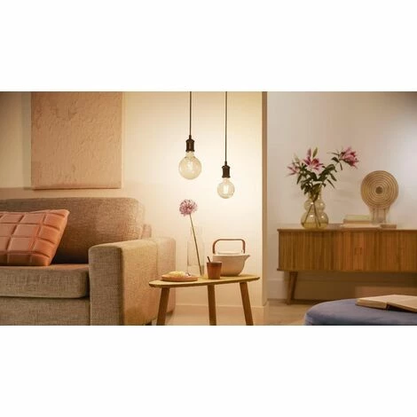 Philips Smart LED Leuchtmittel Tunable White Amber G125 E27, Globeform 7W warmweiß-kaltweiß WiZ Connected 8719514372122 Philips Smart LED Leuchtmittel Tunable White Amber G125 E27, Globeform 7W Warmweiß-kaltweiß WiZ Connected 8719514372122 -PHILIPS Shop 55871085 2